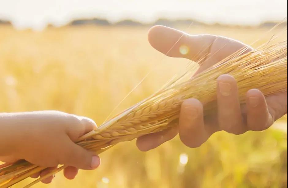 派克漢尼汾加入國際氫能委員會(huì) 助力加快推進(jìn)清潔能源解決方案部署