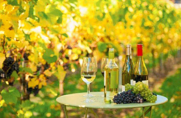 實驗室供氣系統上的派克產品與技術解決方案